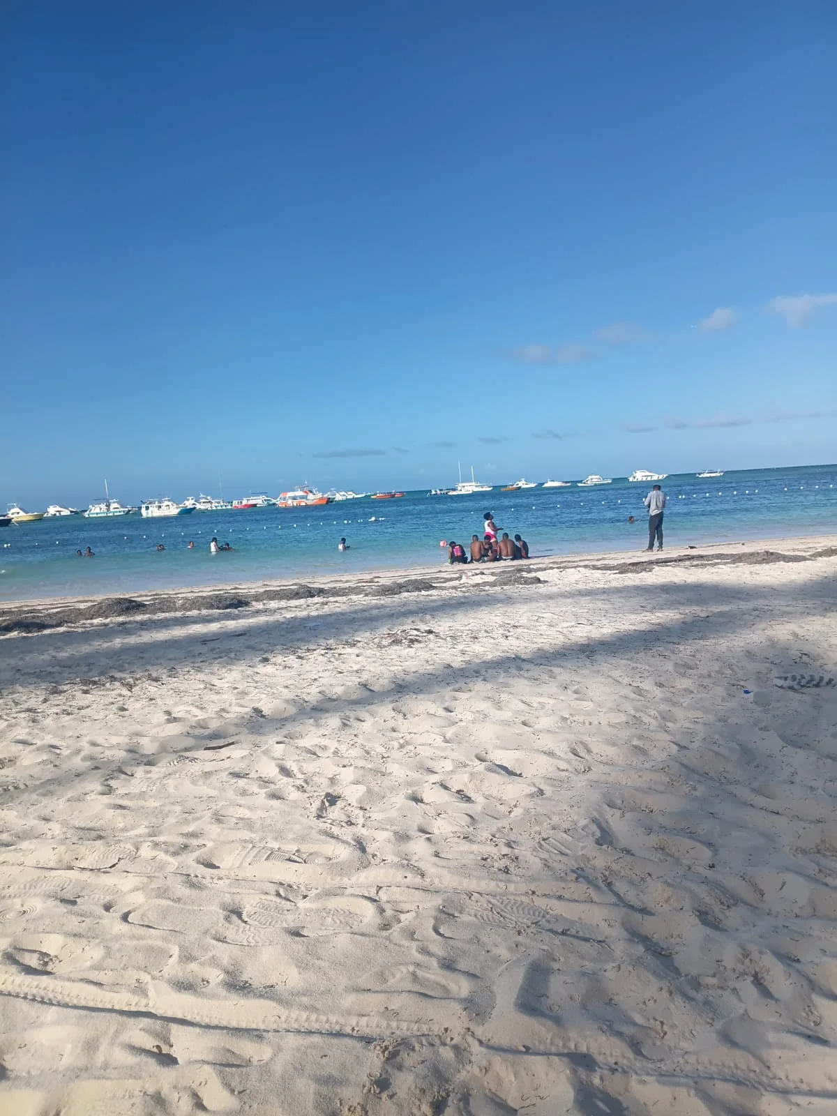 Tours y excursiones